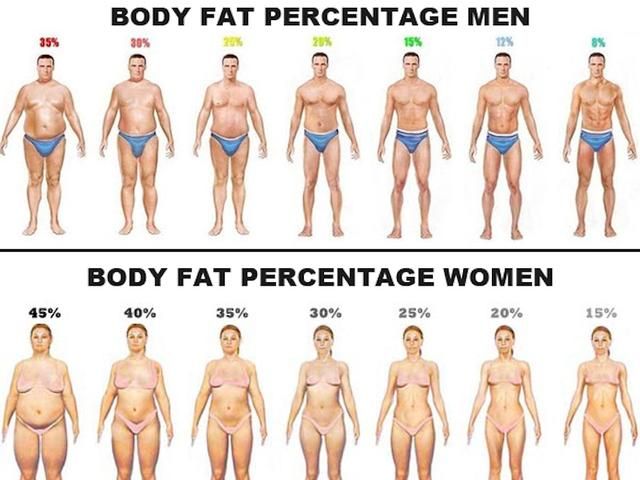 怎么样知道自己的体脂多少