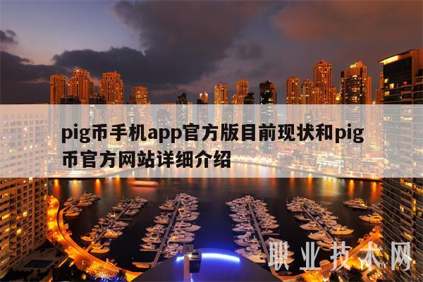 pig币手机app官方版目前现状和pig币官方网站详细介绍