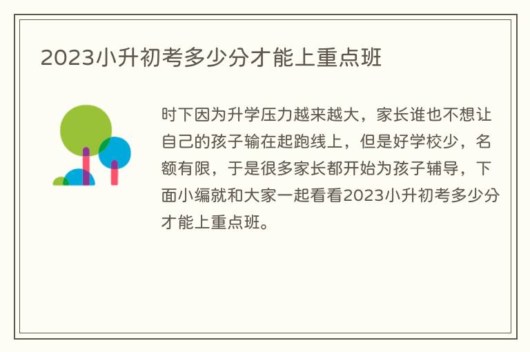 2023小升初考多少分才能上重点班