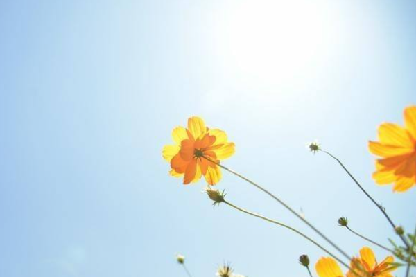 经典暖心短句对老人