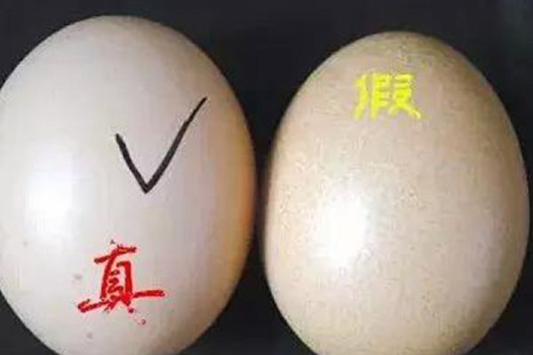 假鸡蛋怎么辨别