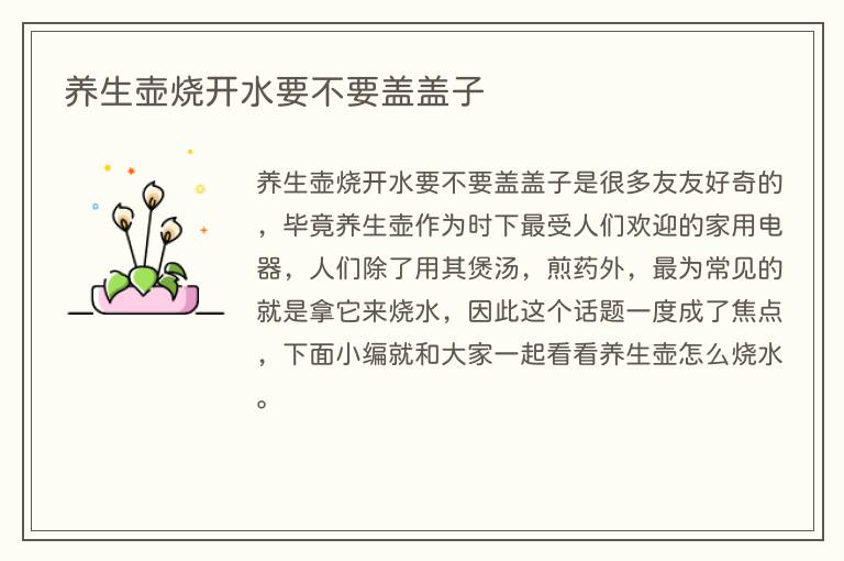 养生壶烧开水要不要盖盖子