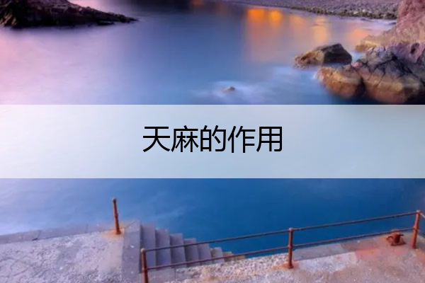 天麻的作用 天麻的作用及功能主治可治腰间盘突出吗