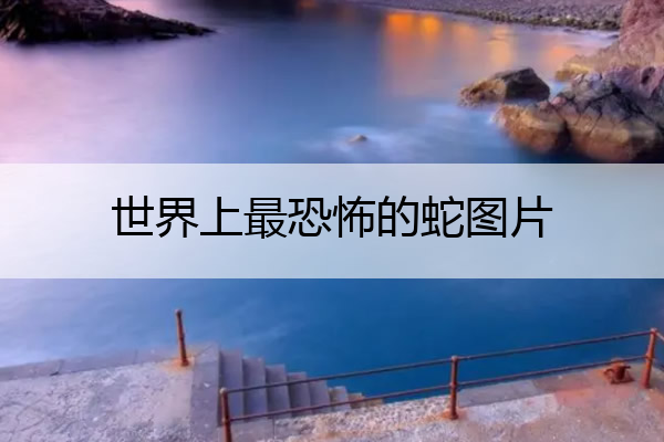 世界上最恐怖的蛇图片 世界上最恐怖的蛇照片