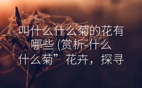 叫什么什么菊的花有哪些 (赏析-什么什么菊”花卉，探寻多彩的历史与价值)