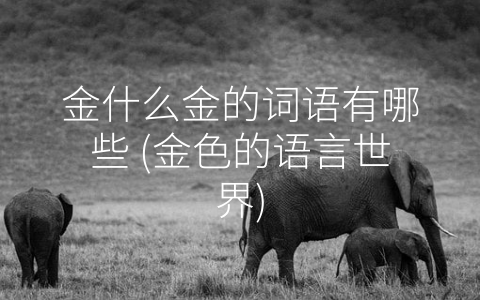 金什么金的词语有哪些 (金色的语言世界)