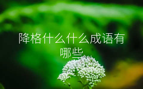 降格什么什么成语有哪些