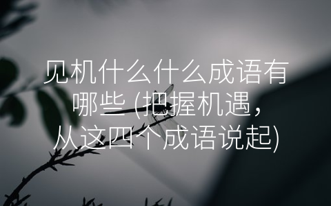 见机什么什么成语有哪些 (把握机遇，从这四个成语说起)