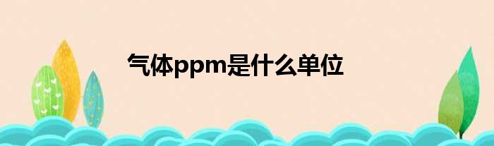 气体ppm是什么单位