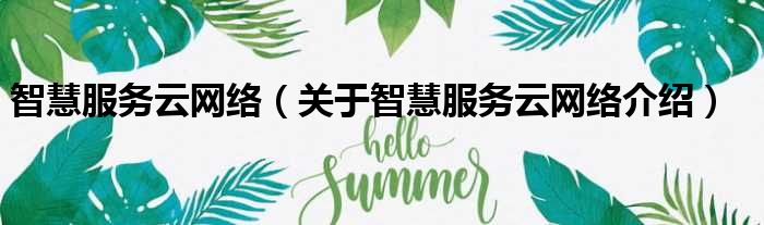 智慧服务云网络 关于智慧服务云网络介绍