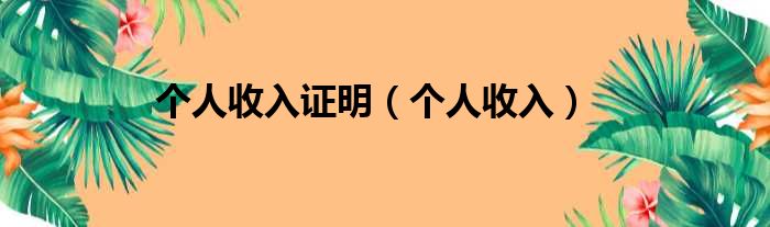 个人收入证明 个人收入