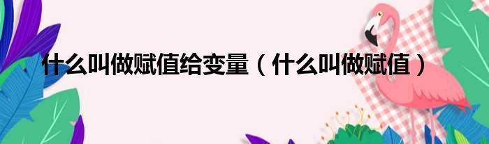 什么叫做赋值给变量 什么叫做赋值