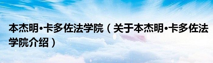 本杰明·卡多佐法学院 关于本杰明·卡多佐法学院介绍