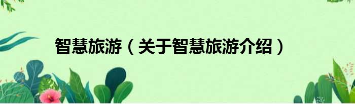智慧旅游 关于智慧旅游介绍