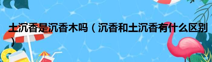 土沉香是沉香木吗 沉香和土沉香有什么区别