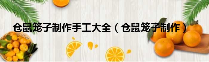 仓鼠笼子制作手工大全 仓鼠笼子制作