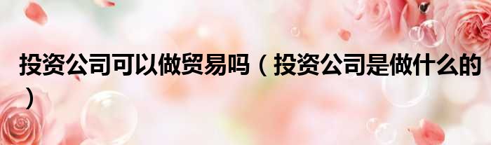投资公司可以做贸易吗 投资公司是做什么的