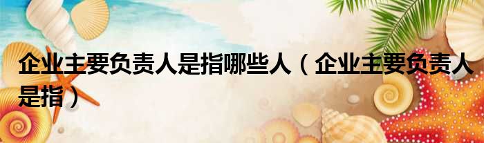 企业主要负责人是指哪些人 企业主要负责人是指