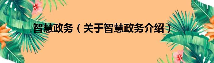 智慧政务 关于智慧政务介绍