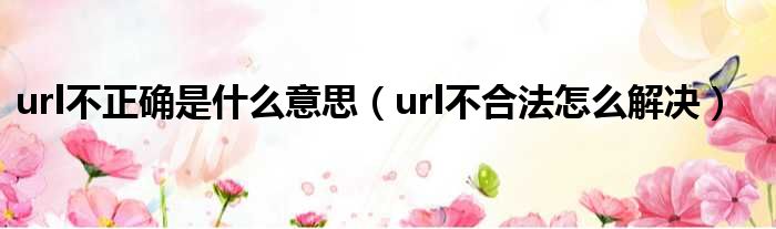 url不正确是什么意思 url不合法怎么解决