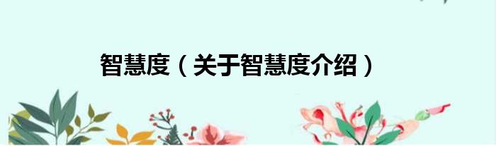 智慧度 关于智慧度介绍