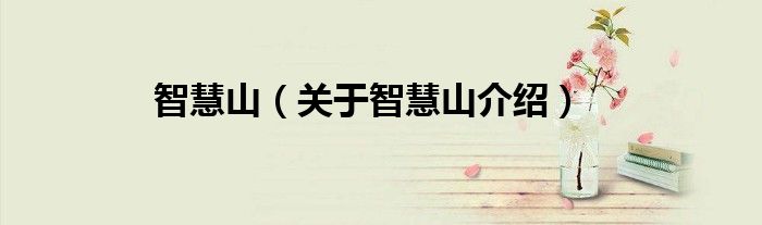 智慧山 关于智慧山介绍