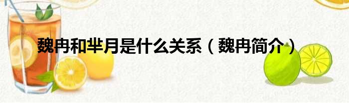 魏冉和芈月是什么关系 魏冉简介