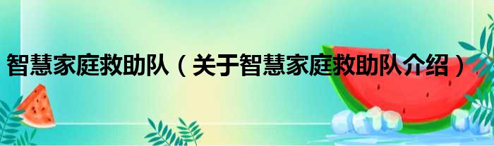 智慧家庭救助队 关于智慧家庭救助队介绍