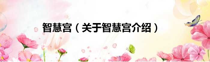 智慧宫 关于智慧宫介绍