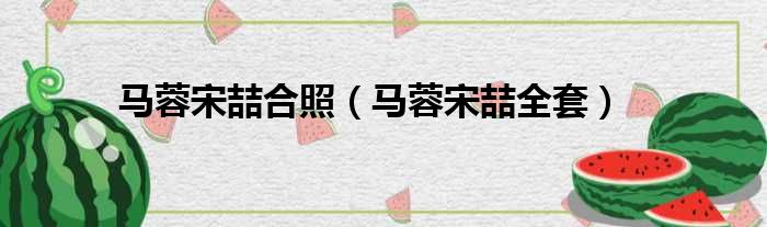 马蓉宋喆合照 马蓉宋喆全套
