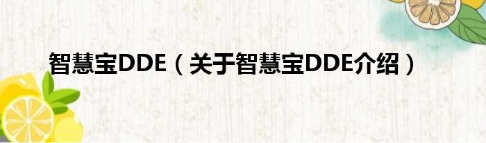 智慧宝DDE 关于智慧宝DDE介绍