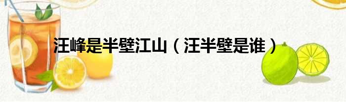 汪峰是半壁江山 汪半壁是谁