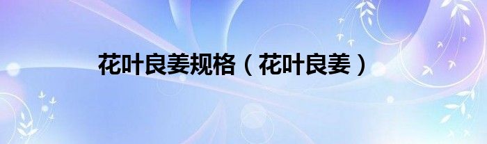 花叶良姜规格 花叶良姜