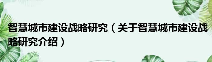 智慧城市建设战略研究 关于智慧城市建设战略研究介绍