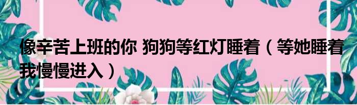 像辛苦上班的你 狗狗等红灯睡着 等她睡着我慢慢进入