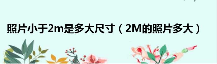 照片小于2m是多大尺寸 2M的照片多大