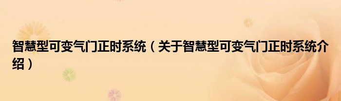 智慧型可变气门正时系统 关于智慧型可变气门正时系统介绍