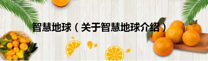 智慧地球 关于智慧地球介绍