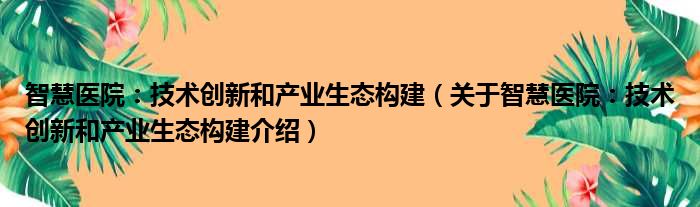 智慧医院：技术创新和产业生态构建 关于智慧医院：技术创新和产业生态构建介绍