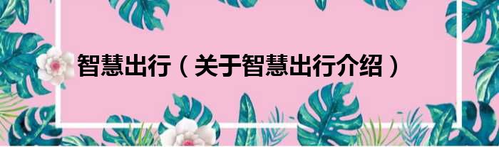 智慧出行 关于智慧出行介绍