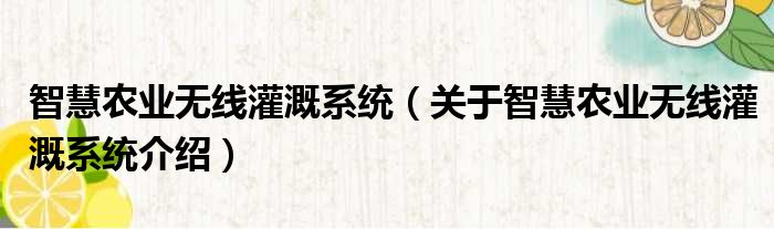 智慧农业无线灌溉系统 关于智慧农业无线灌溉系统介绍