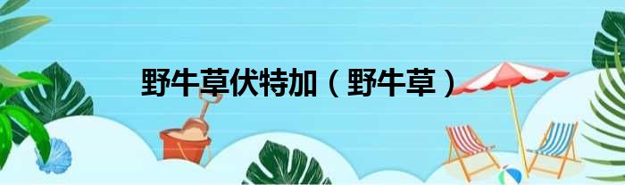 野牛草伏特加 野牛草
