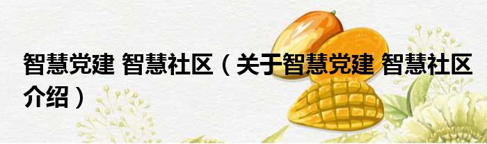 智慧党建 智慧社区 关于智慧党建 智慧社区介绍