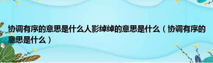 协调有序的意思是什么人影绰绰的意思是什么 协调有序的意思是什么