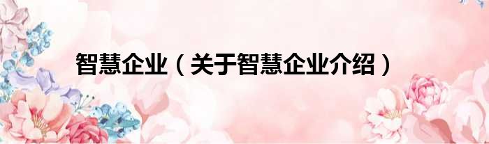 智慧企业 关于智慧企业介绍