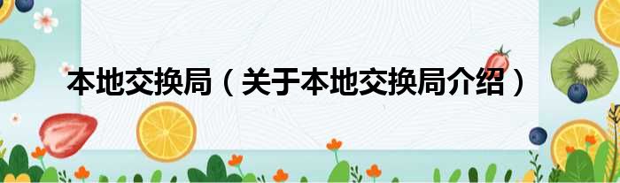 本地交换局 关于本地交换局介绍
