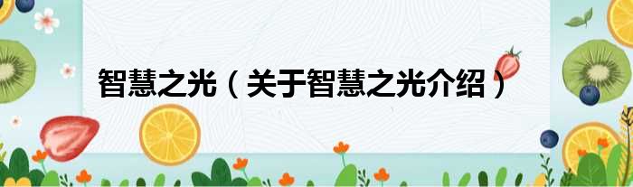 智慧之光 关于智慧之光介绍