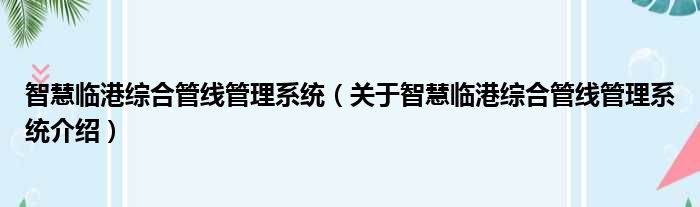智慧临港综合管线管理系统 关于智慧临港综合管线管理系统介绍