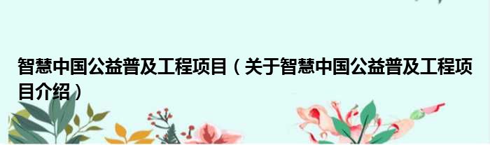 智慧中国公益普及工程项目 关于智慧中国公益普及工程项目介绍