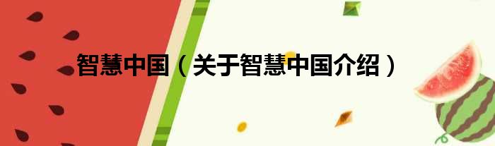 智慧中国 关于智慧中国介绍